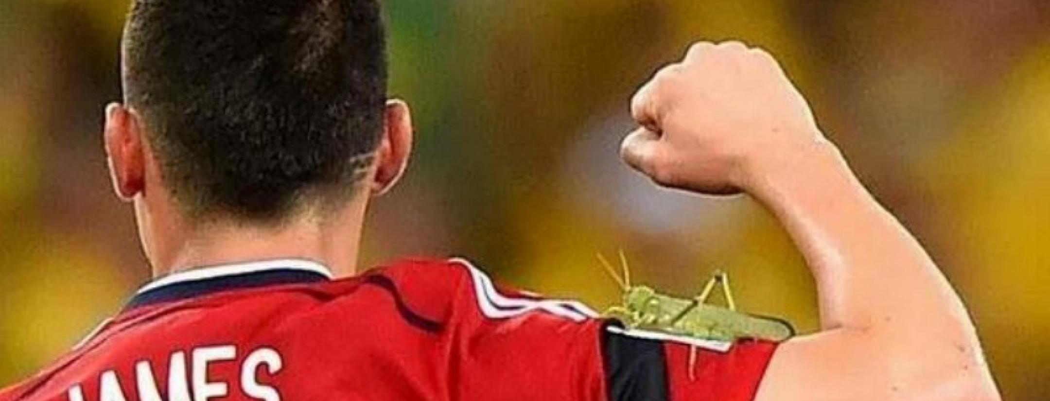 Massive Grasshopper On James Rodriguez