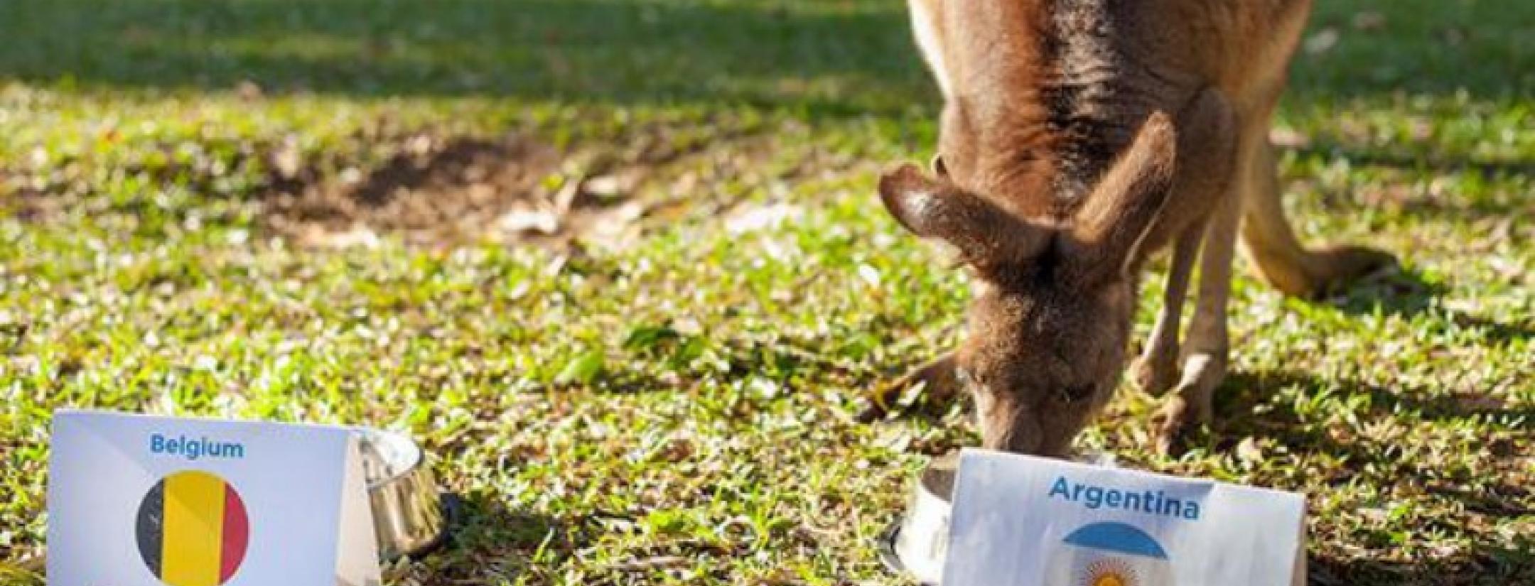 Predicting the World Cup