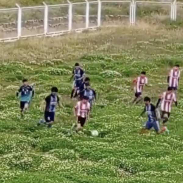 Copa Peru field
