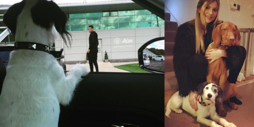 Chris Smalling with his girlfriend Sam Cooke and dog Ruben