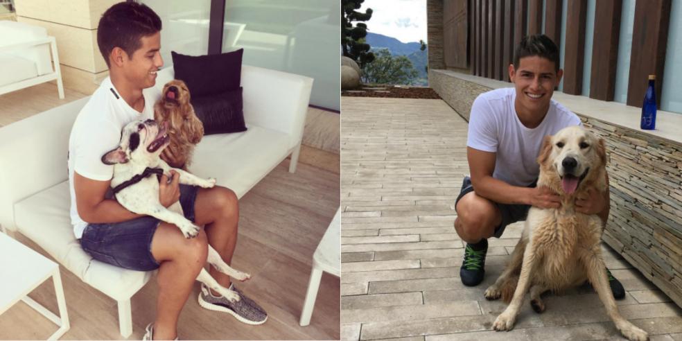 James Rodriguez with his three dogs
