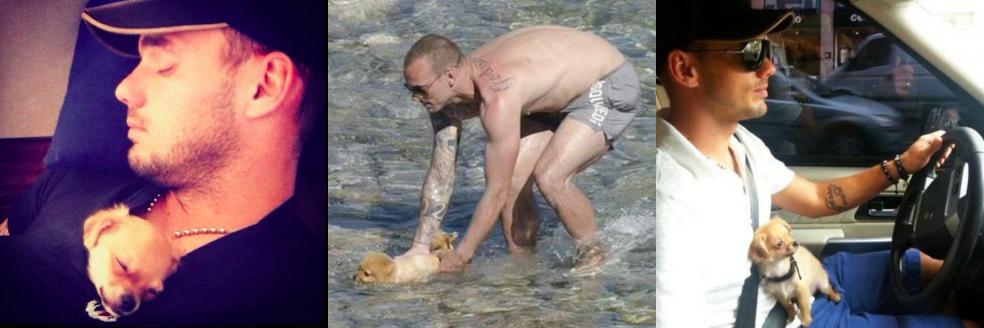 Wesley Sneijder and his pup James