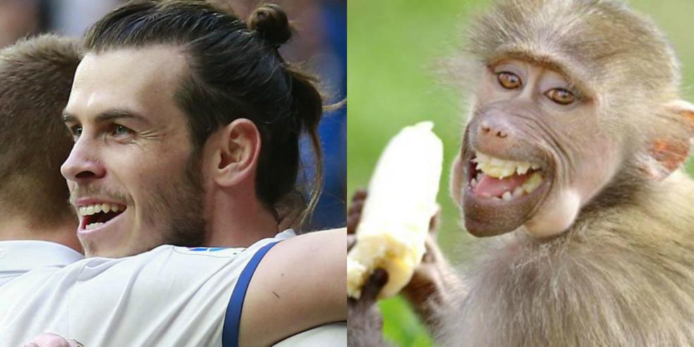 Gareth Bale's animal look alike: a monkey