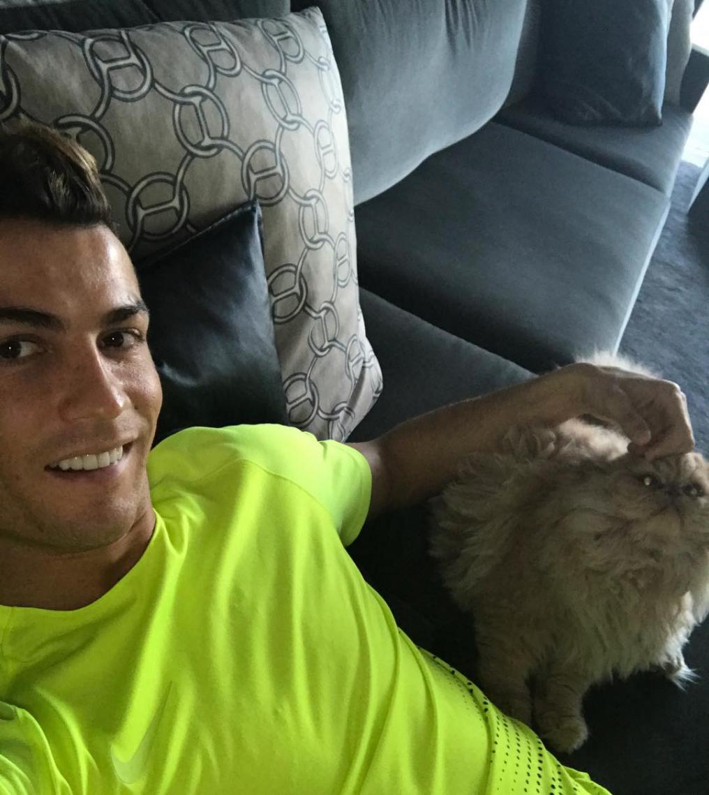 SportMob – Footballers and their pets