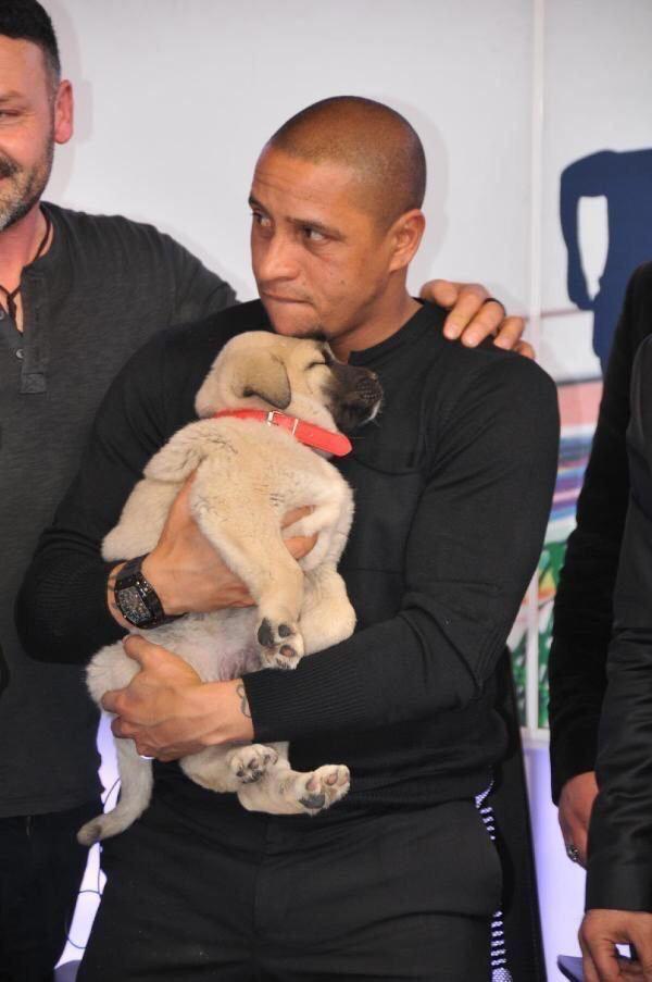 Footballers with animals