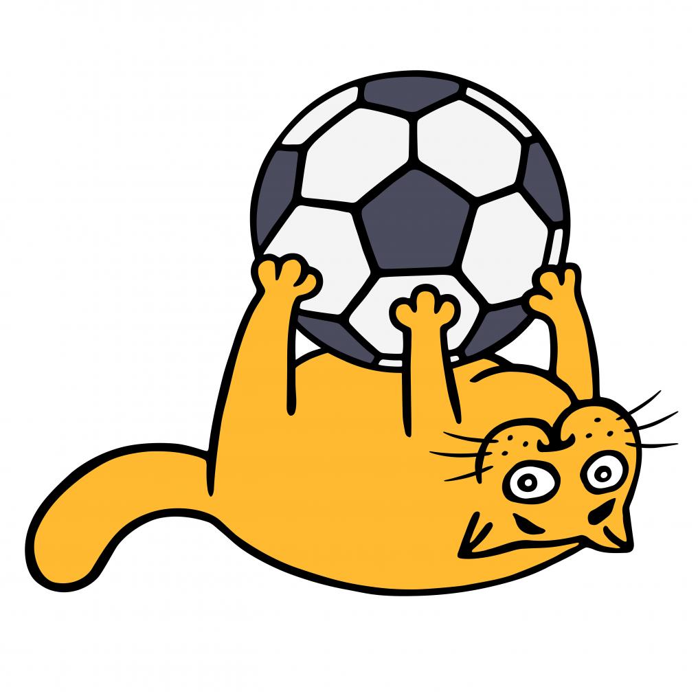Soccer Cat Orange