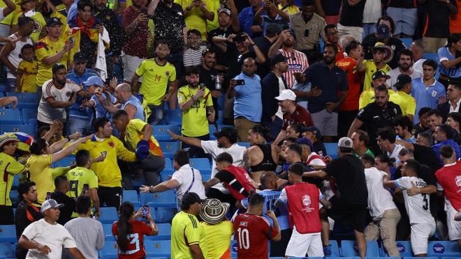 Darwin Nunez punching fans after loss to Colombia