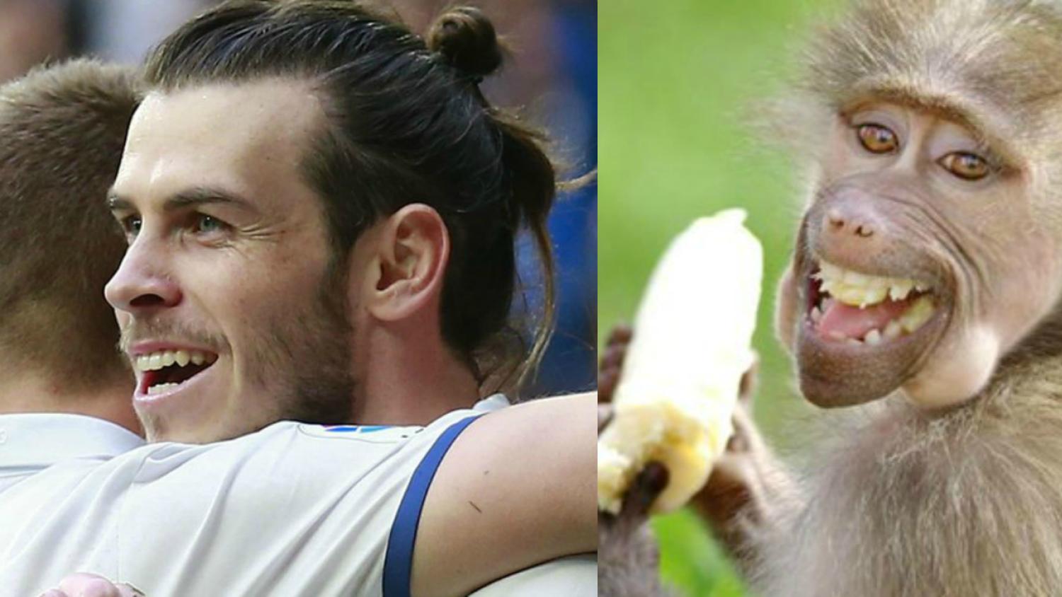 Footballers Who Look Like Animals