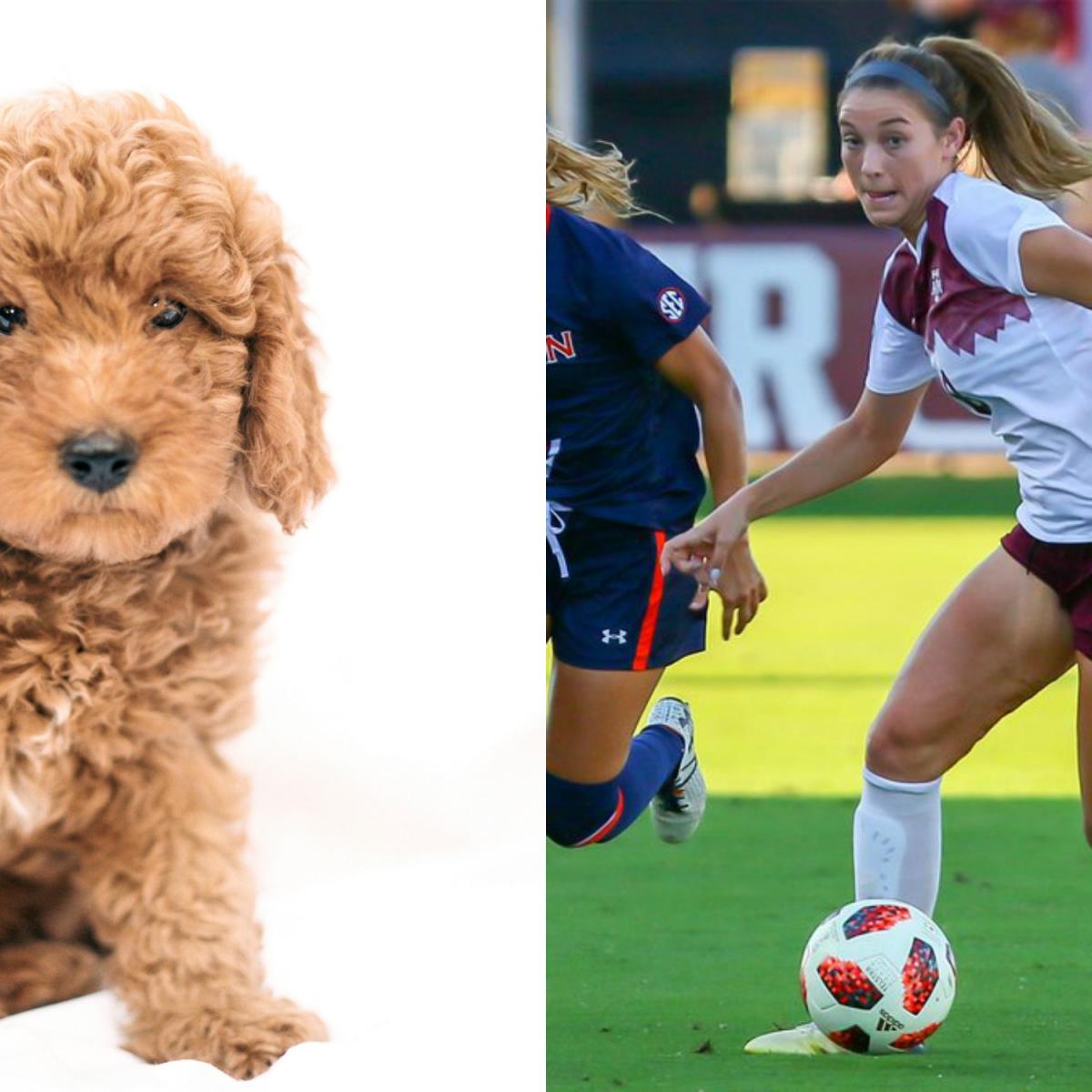 Texas A&M Soccer