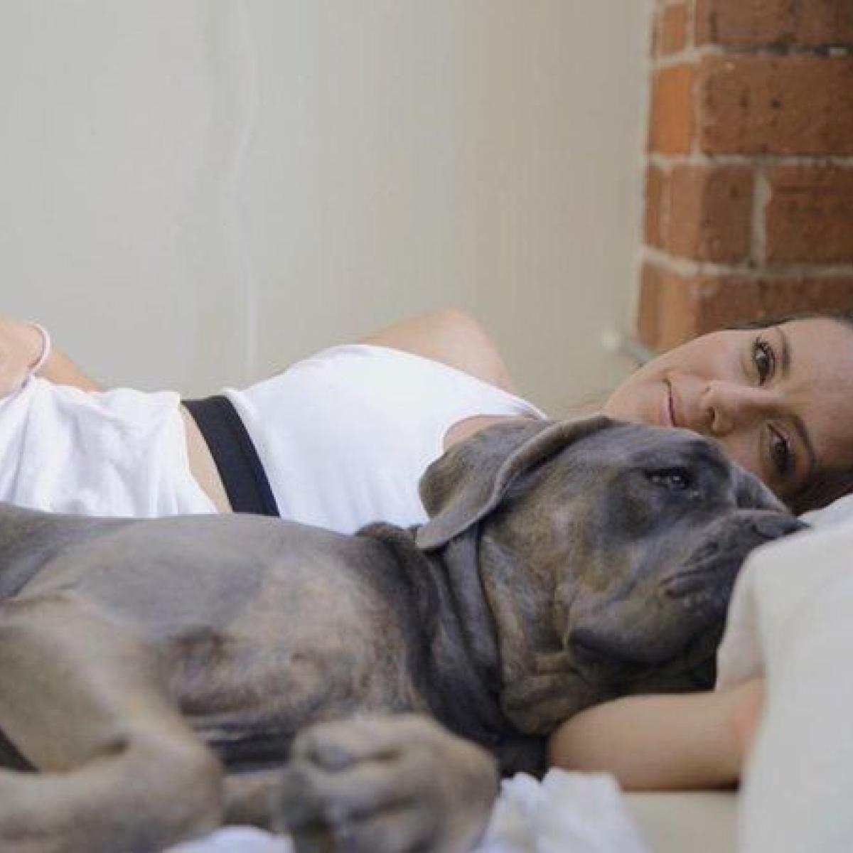 Footballers and Animals