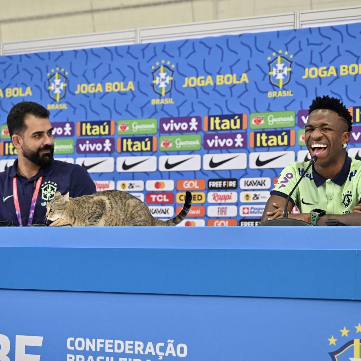 Vini Jr Cat Press Conference Guest