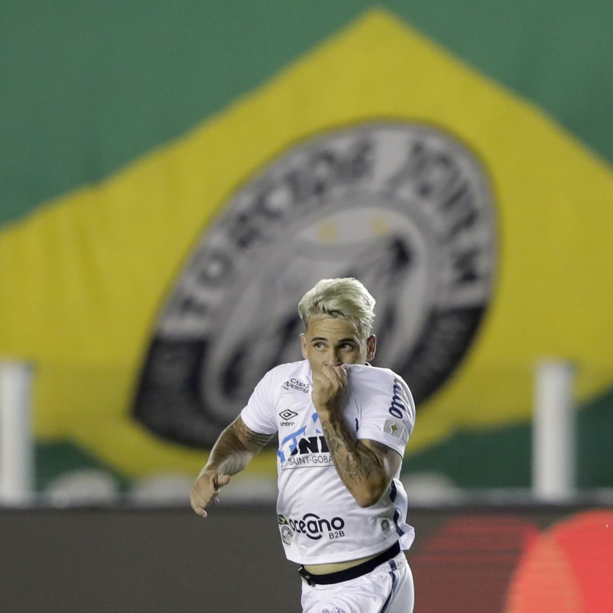 Santos advance to Copa Libertadores final