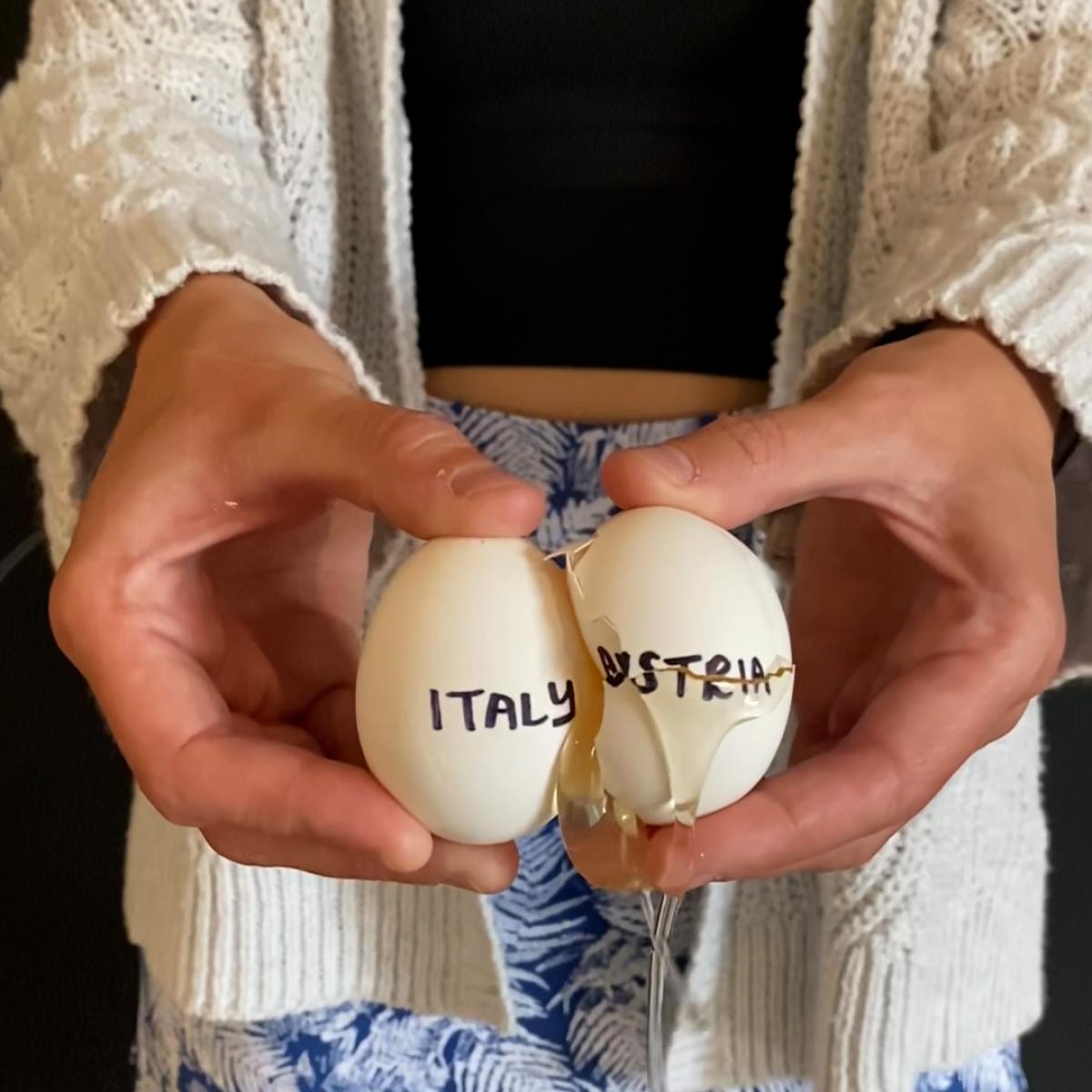 Egg Predictions