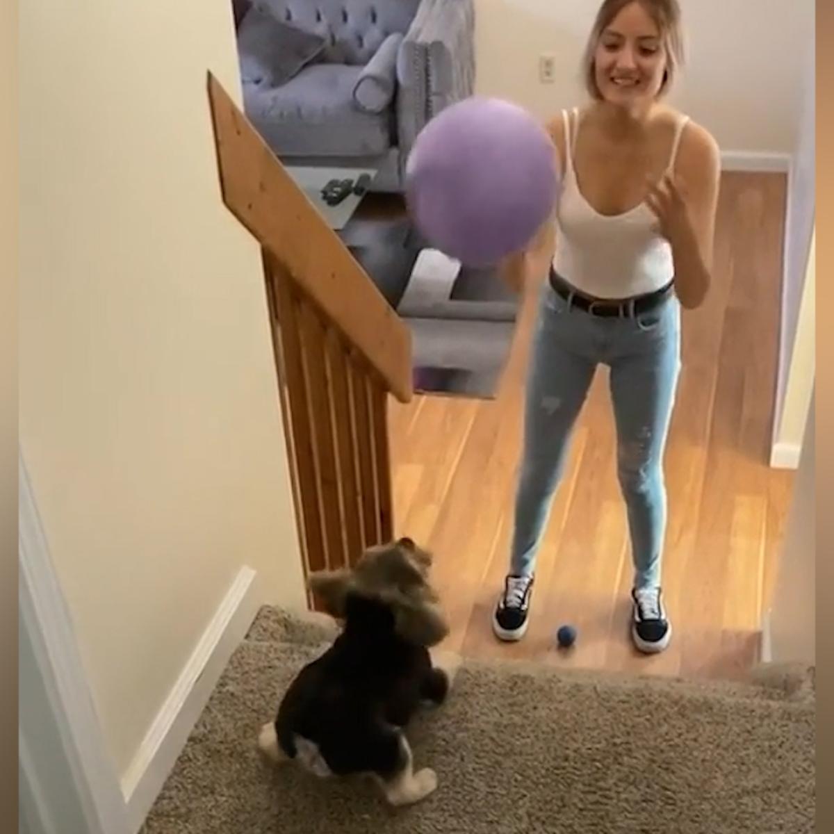 Woman passes ball to dog