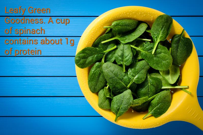 Spinach Protein By Weight