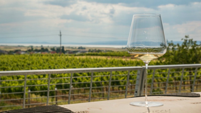 An empty win glass is photographed against a back drop of a nice day at a vineyard