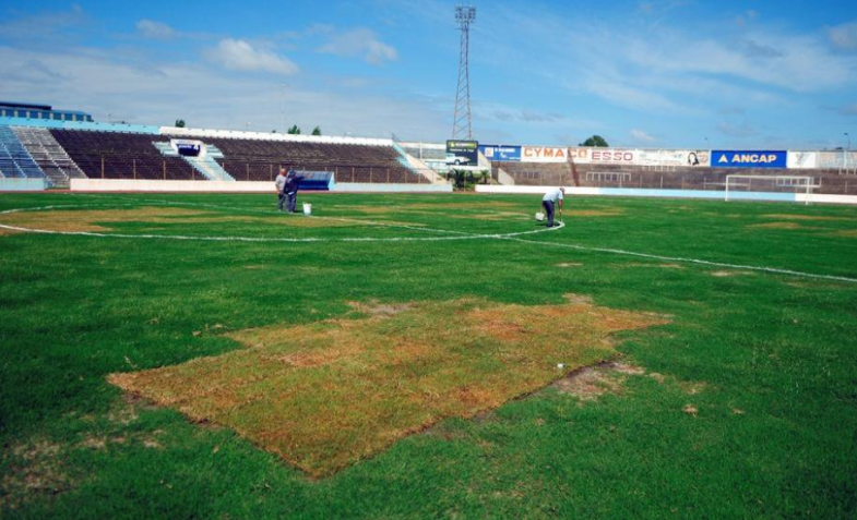 The Uruguayan League Is The Best League In The World. See For Yourself