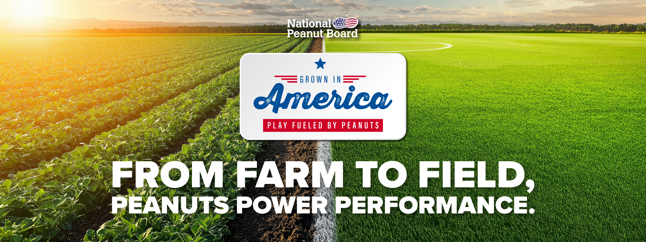 National Peanut Board Landing Page